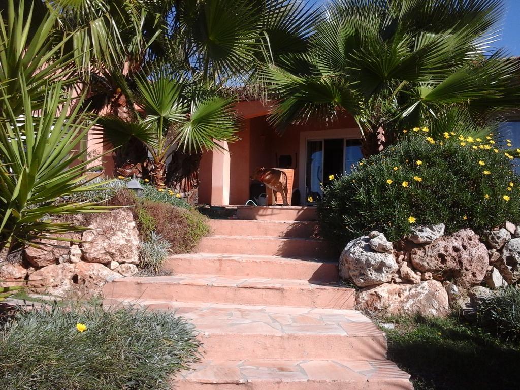 Mas Des Lys Hotel Roquebrune-sur-Argens Eksteriør billede